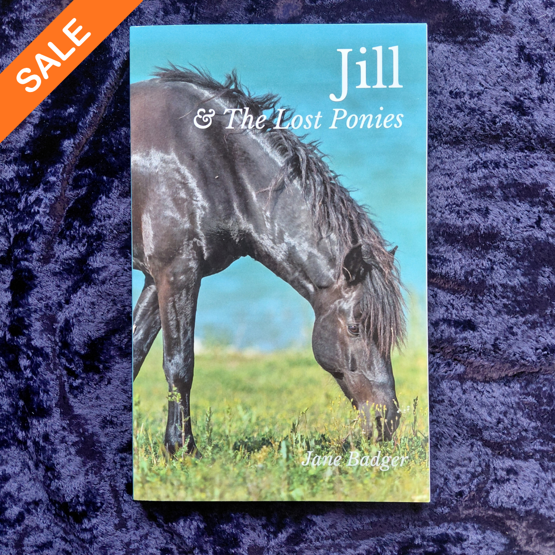 Jane Badger: Jill and the Lost Ponies (SIGNED COPY) SALE