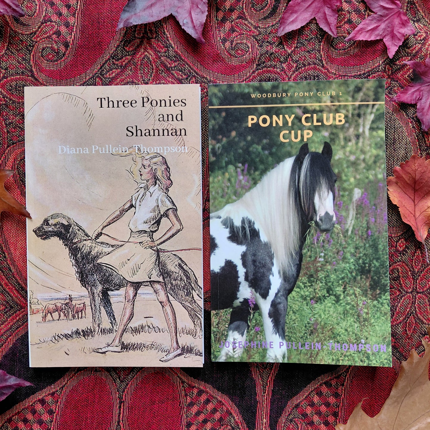 Joanna Cannan and Pullein-Thompson collection (4 paperbacks)