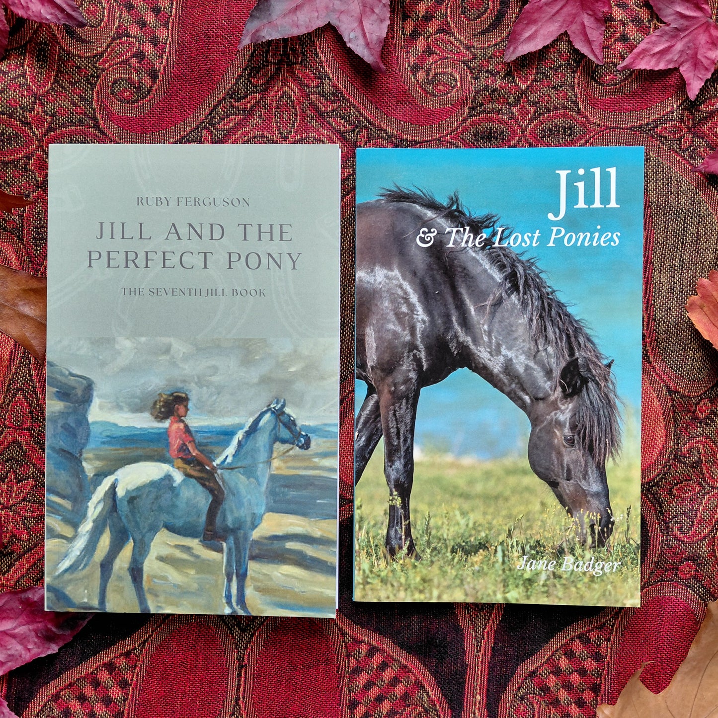 Ruby Ferguson: Jill paperback collection and a follow on (6 paperbacks)