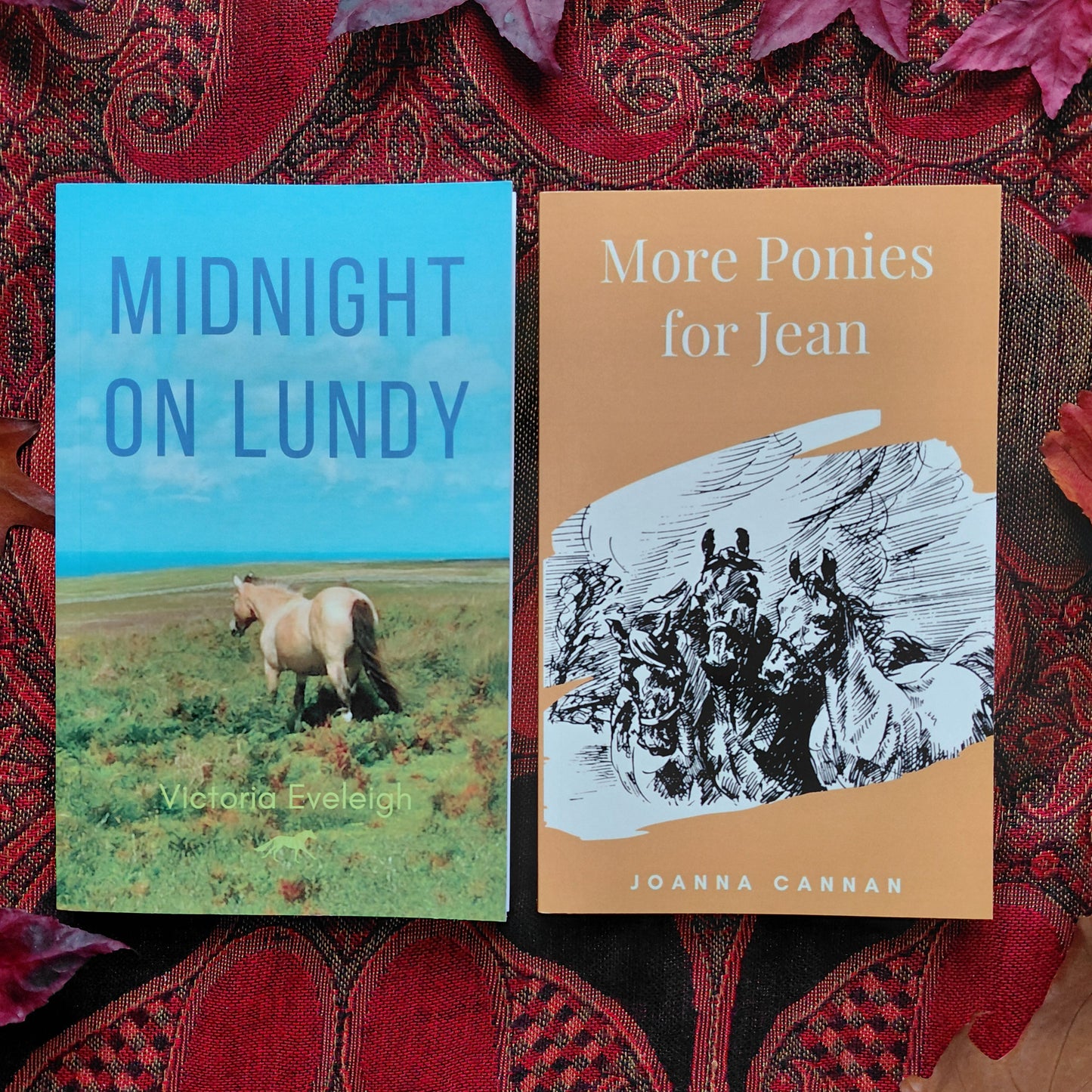 Pony Book Collection: 5 paperbacks (Cannan, Eveleigh, Ferguson, Badger)