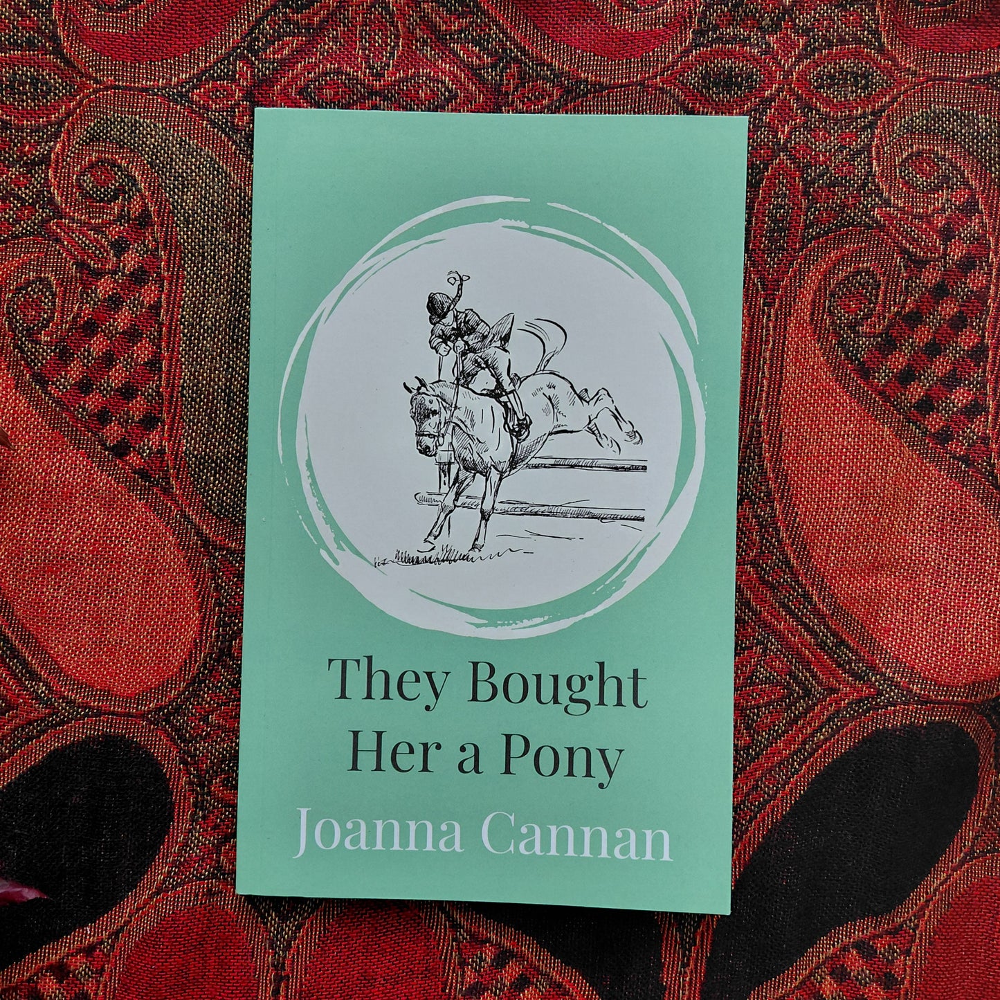 Pony Book Collection: 5 paperbacks (Cannan, Eveleigh, Ferguson, Badger)
