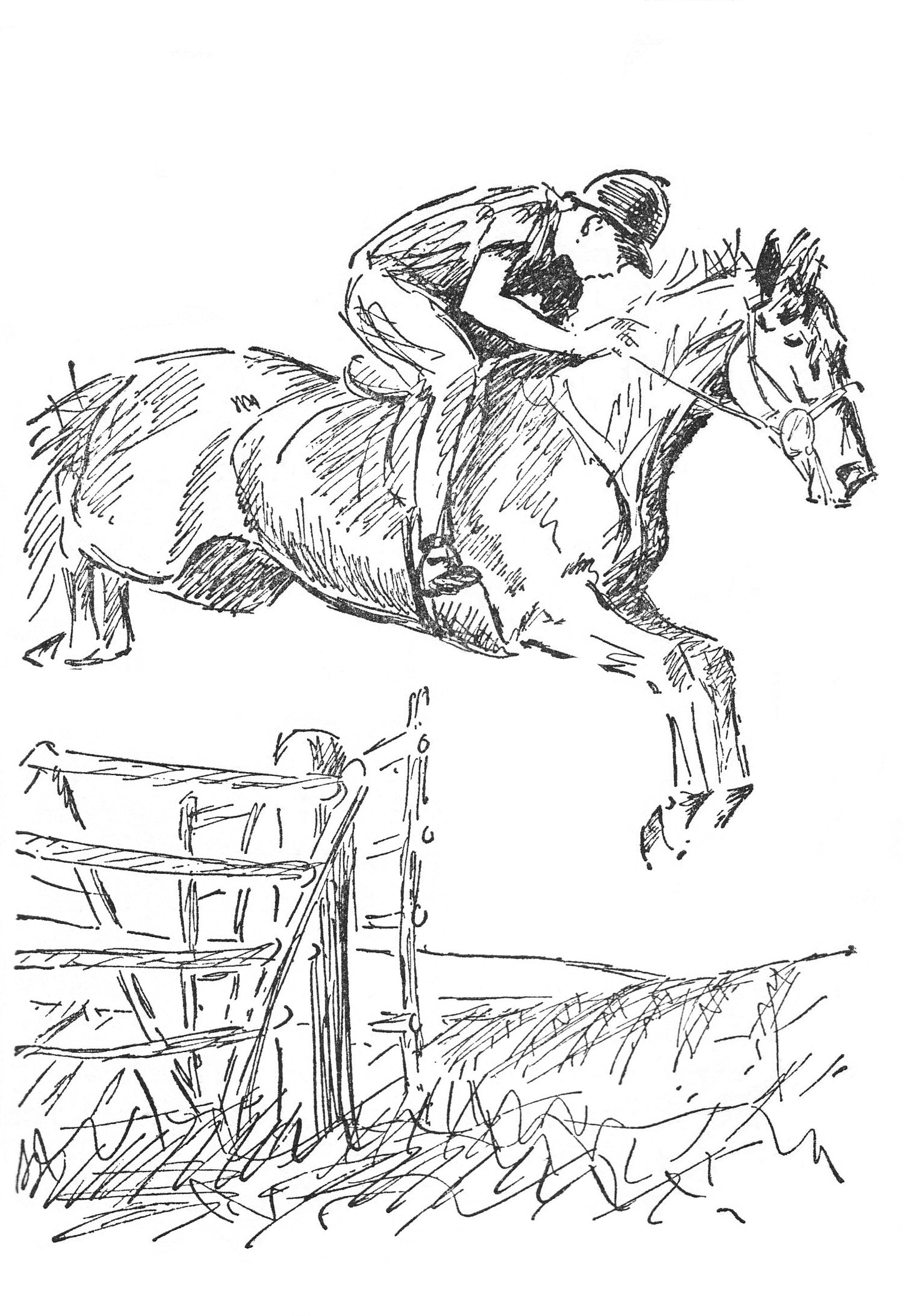 Josephine Pullein-Thompson: Pony Club Team (paperback)