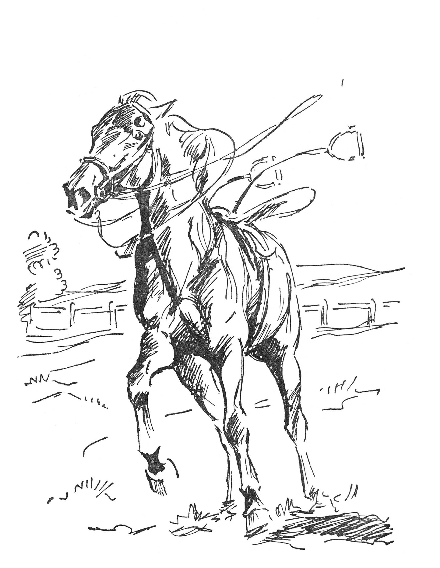 Josephine Pullein-Thompson: The Radney Riding Club (paperback)