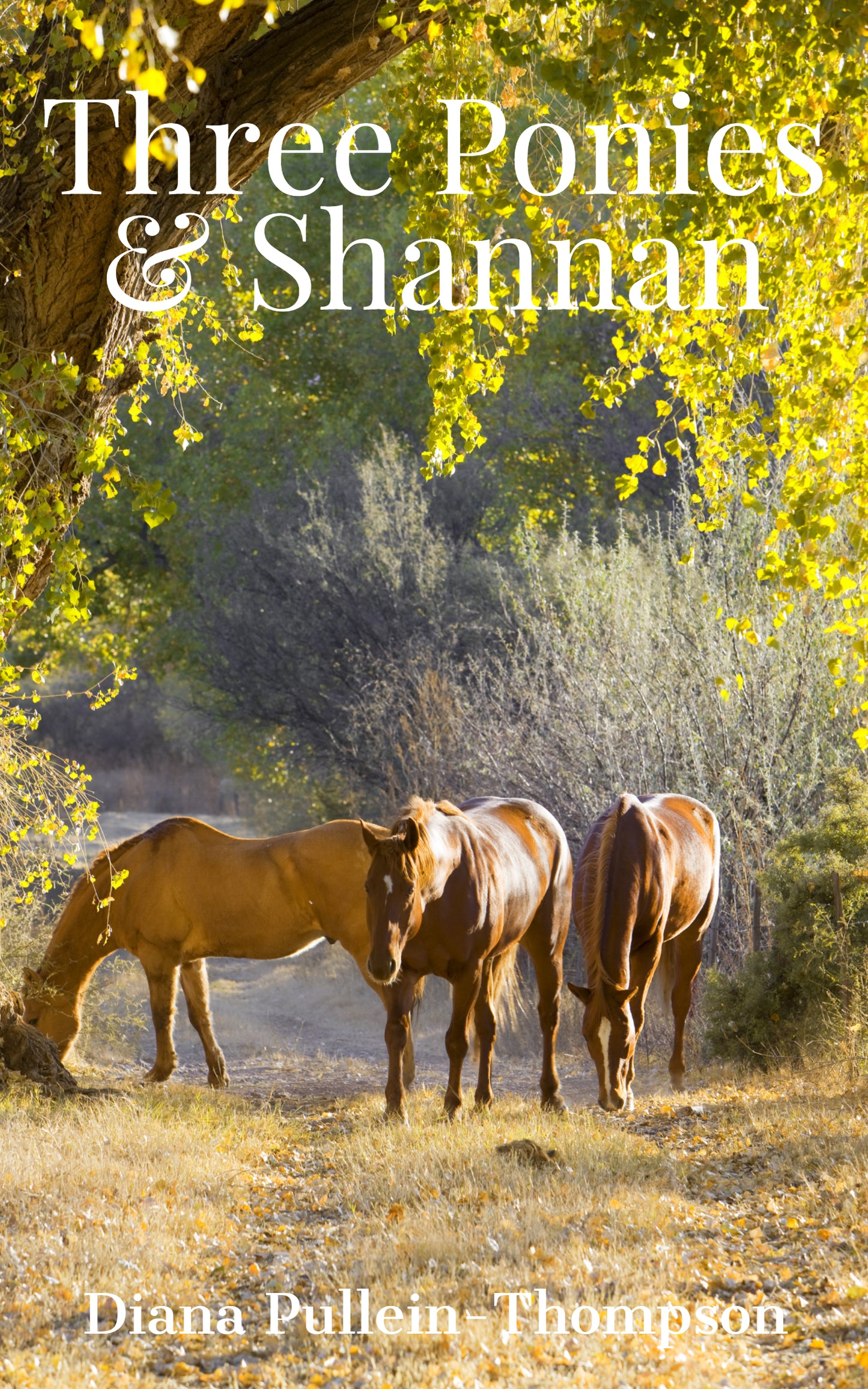 Diana Pullein-Thompson: Three Ponies and Shannan (eBook - Augusta and Christina 2)