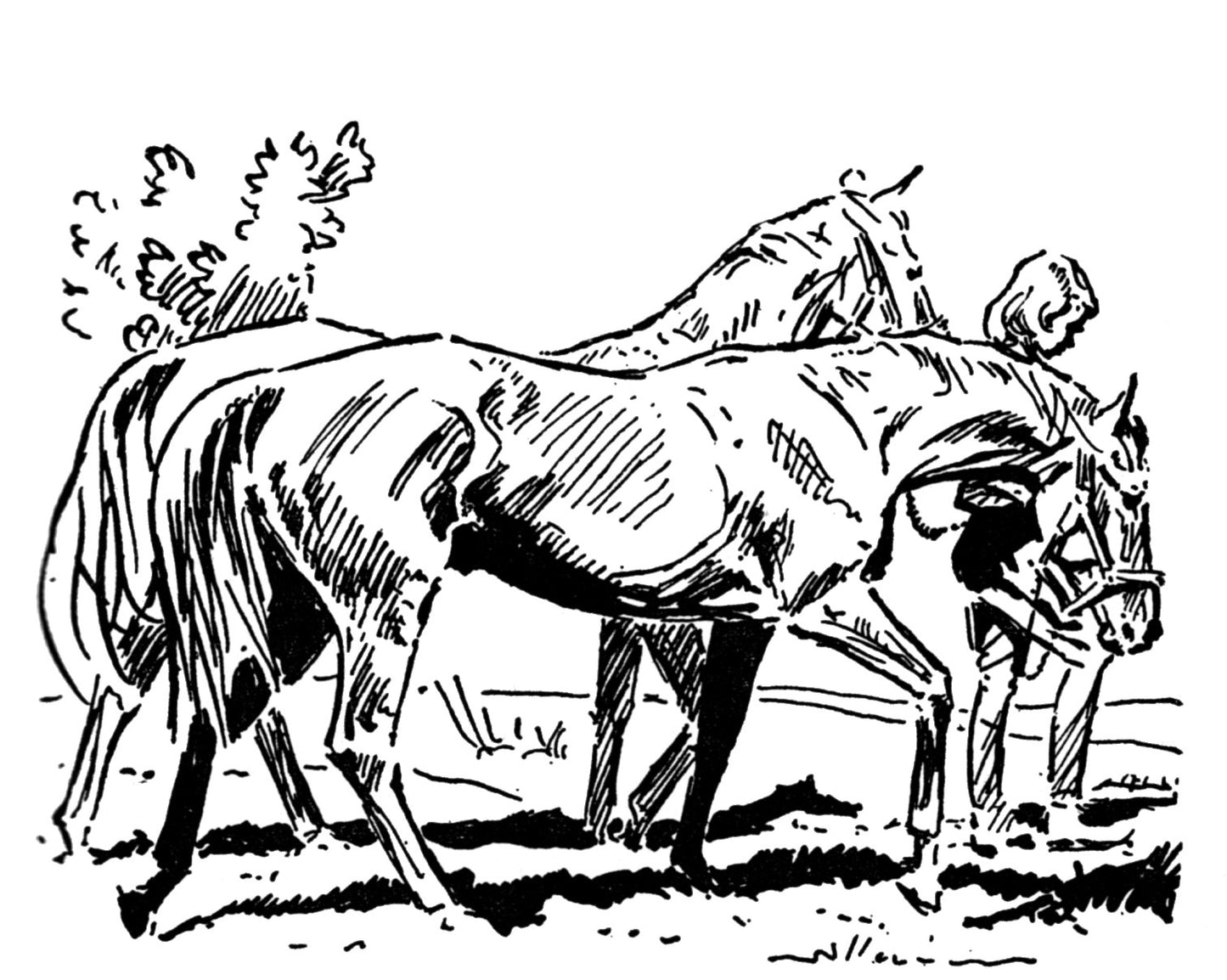 Josephine Pullein-Thompson: One Day Event (paperback)