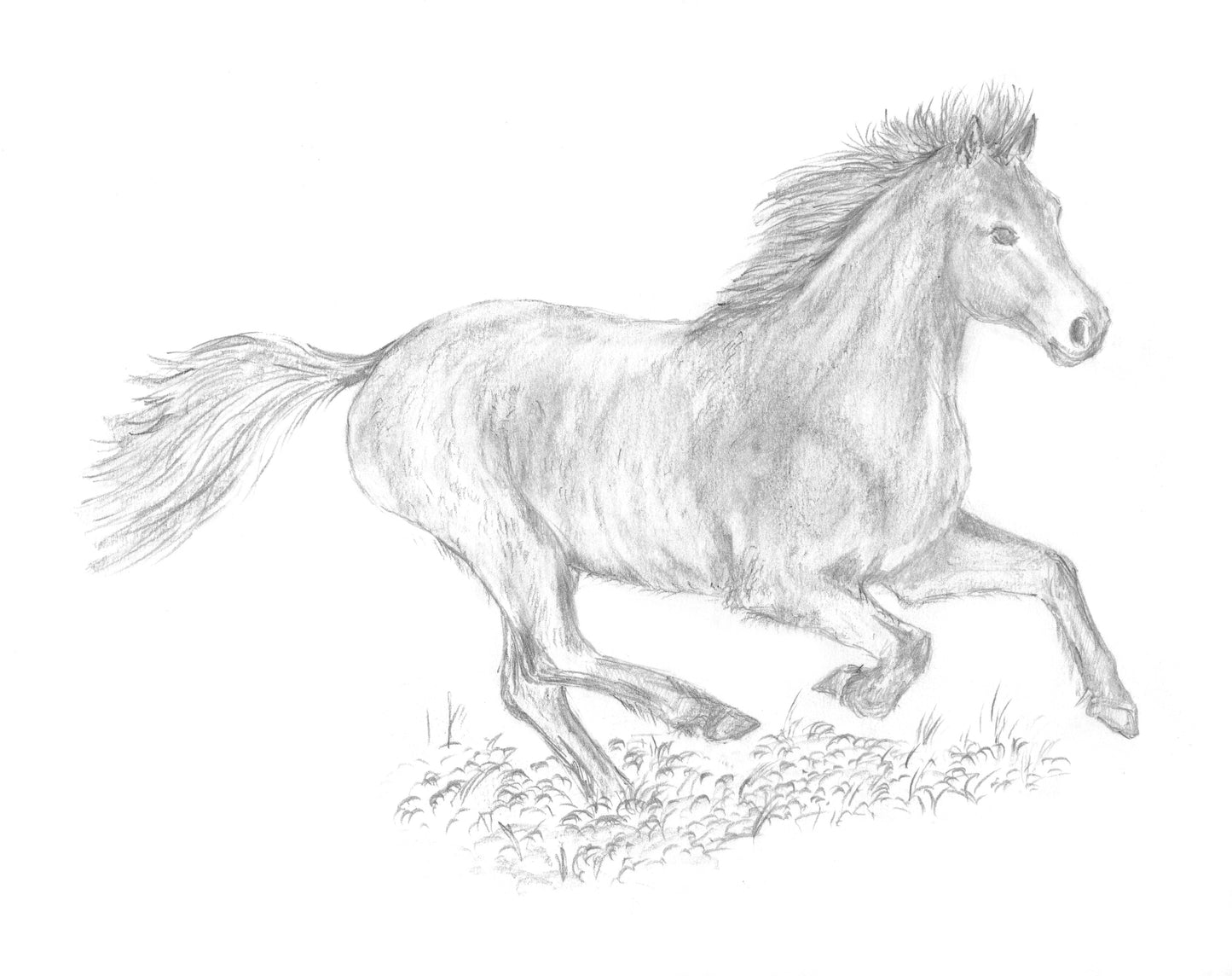 Victoria Eveleigh: Midnight on Lundy (paperback)