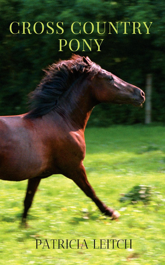 Patricia Leitch: Cross Country Pony (paperback )