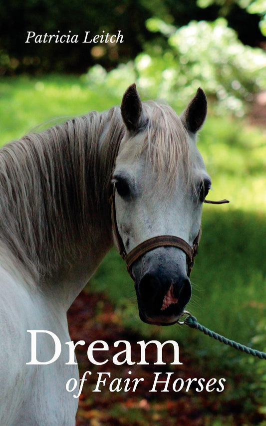 Patricia Leitch: Dream of Fair Horses (paperback)