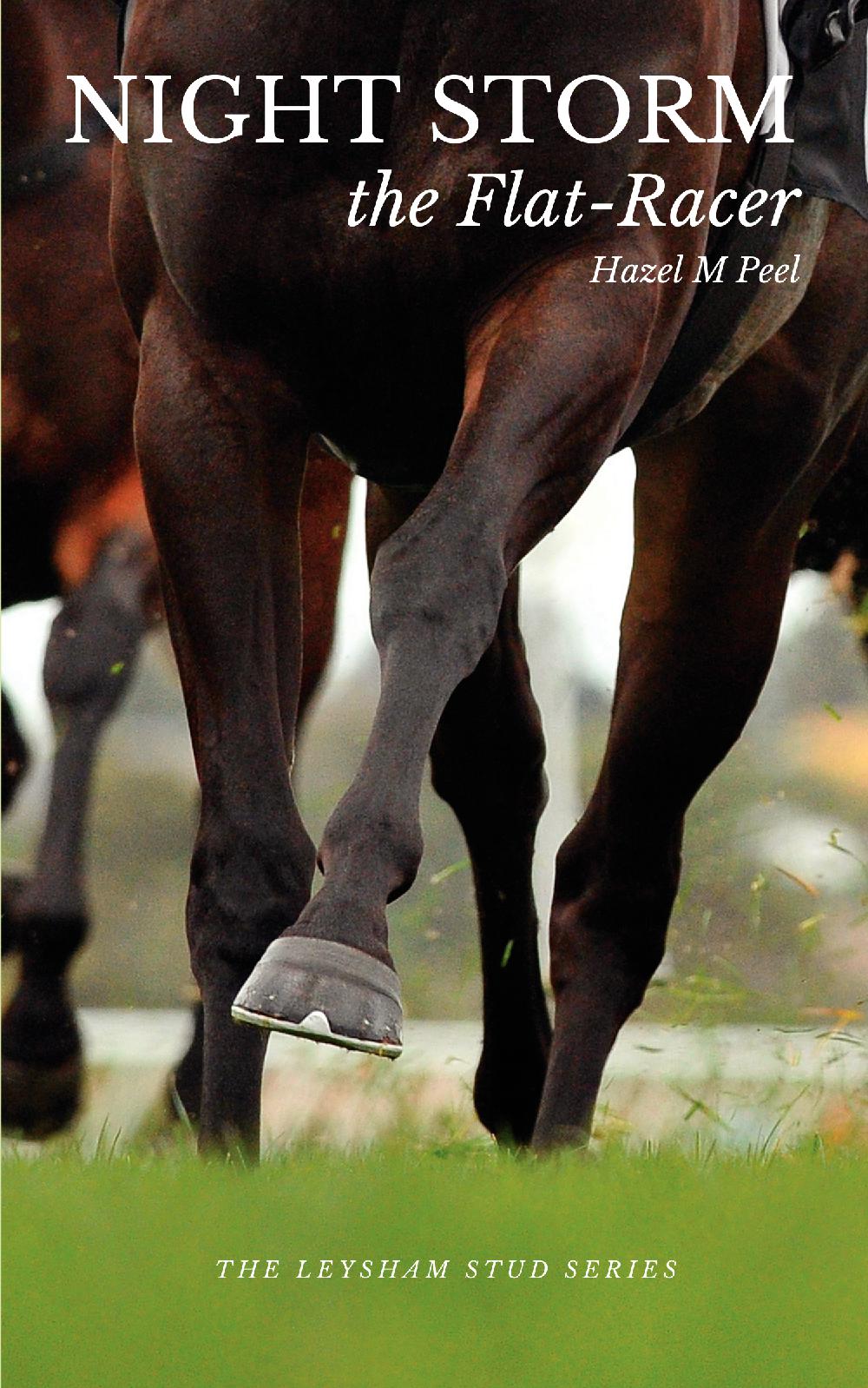 Hazel M Peel: Night Storm the Flat Racer (paperback)