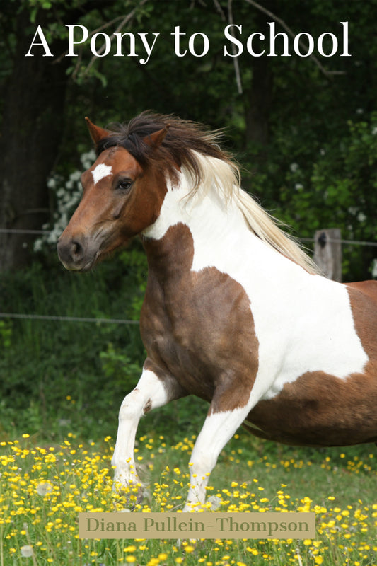 Diana Pullein-Thompson: A Pony to School (eBook - Augusta and Christina 3)