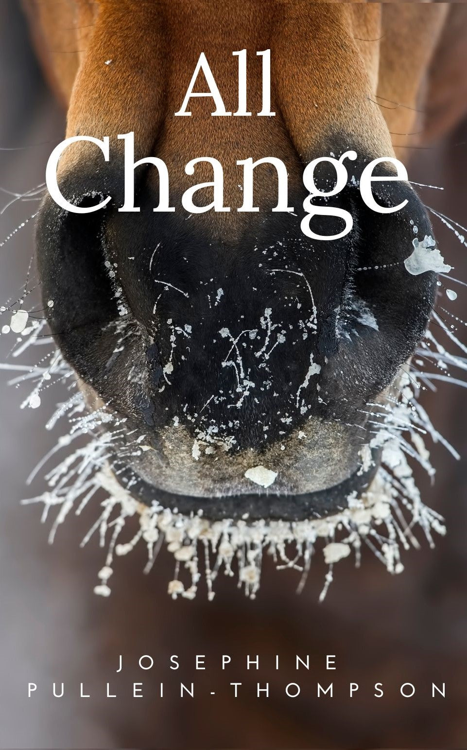 Josephine Pullein-Thompson: All Change (paperback)