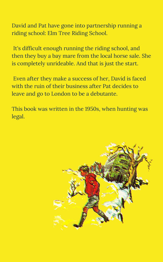 Christine Pullein-Thompson: The Second Mount (eBook - David and Pat 2)