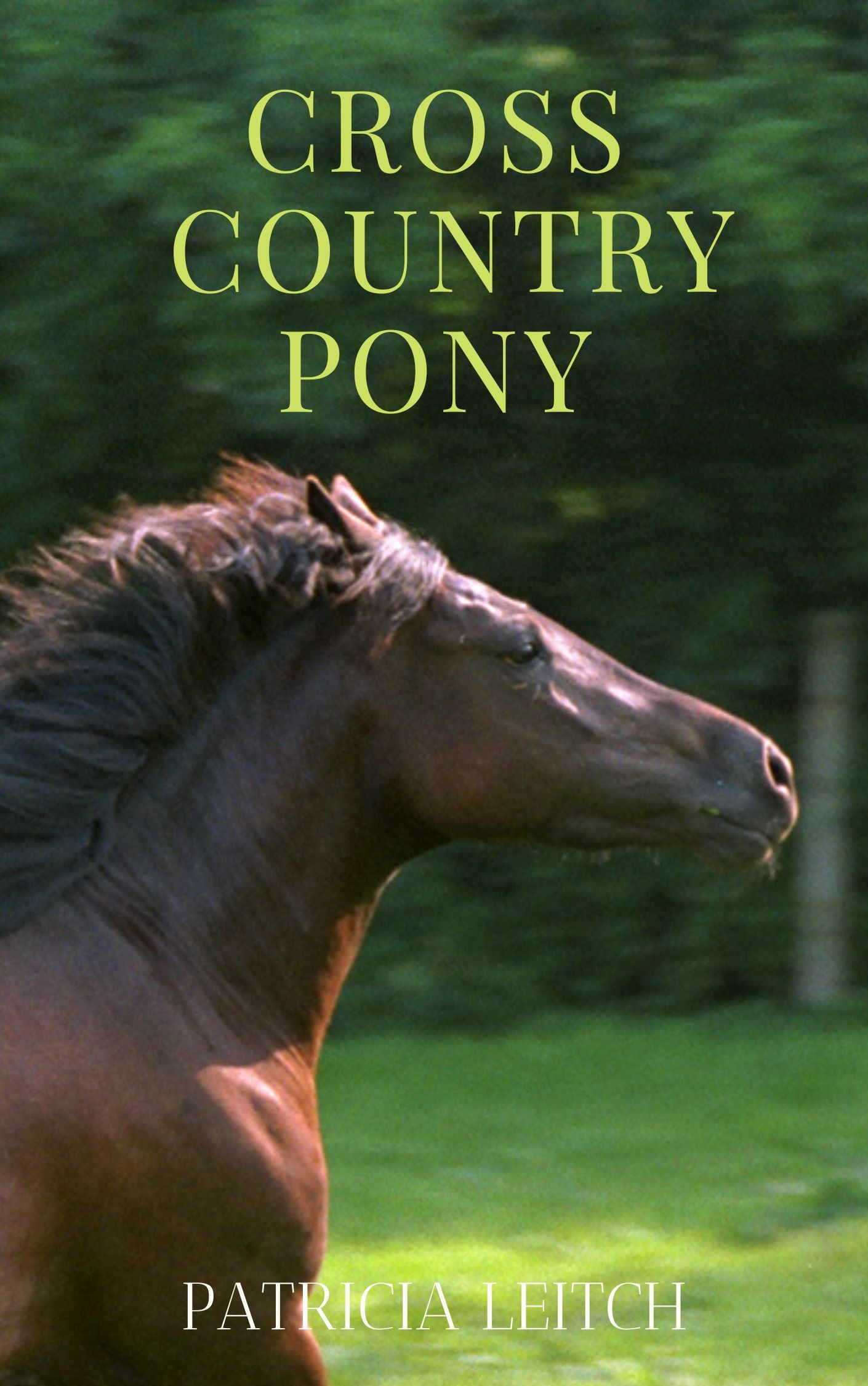 Patricia Leitch: Cross Country Pony (eBook)
