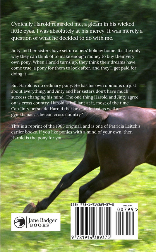 Patricia Leitch: Cross Country Pony (paperback )