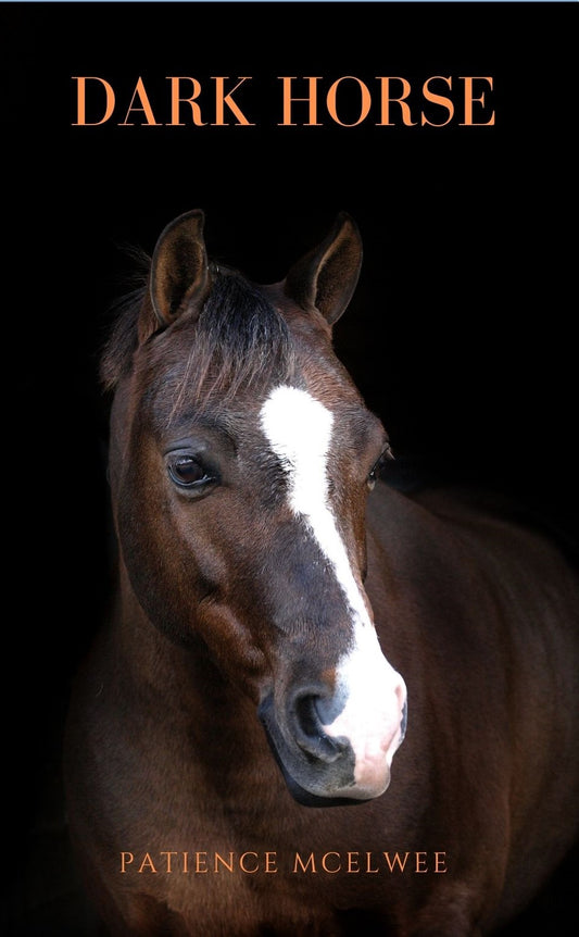 Patience McElwee: Dark Horse (paperback)