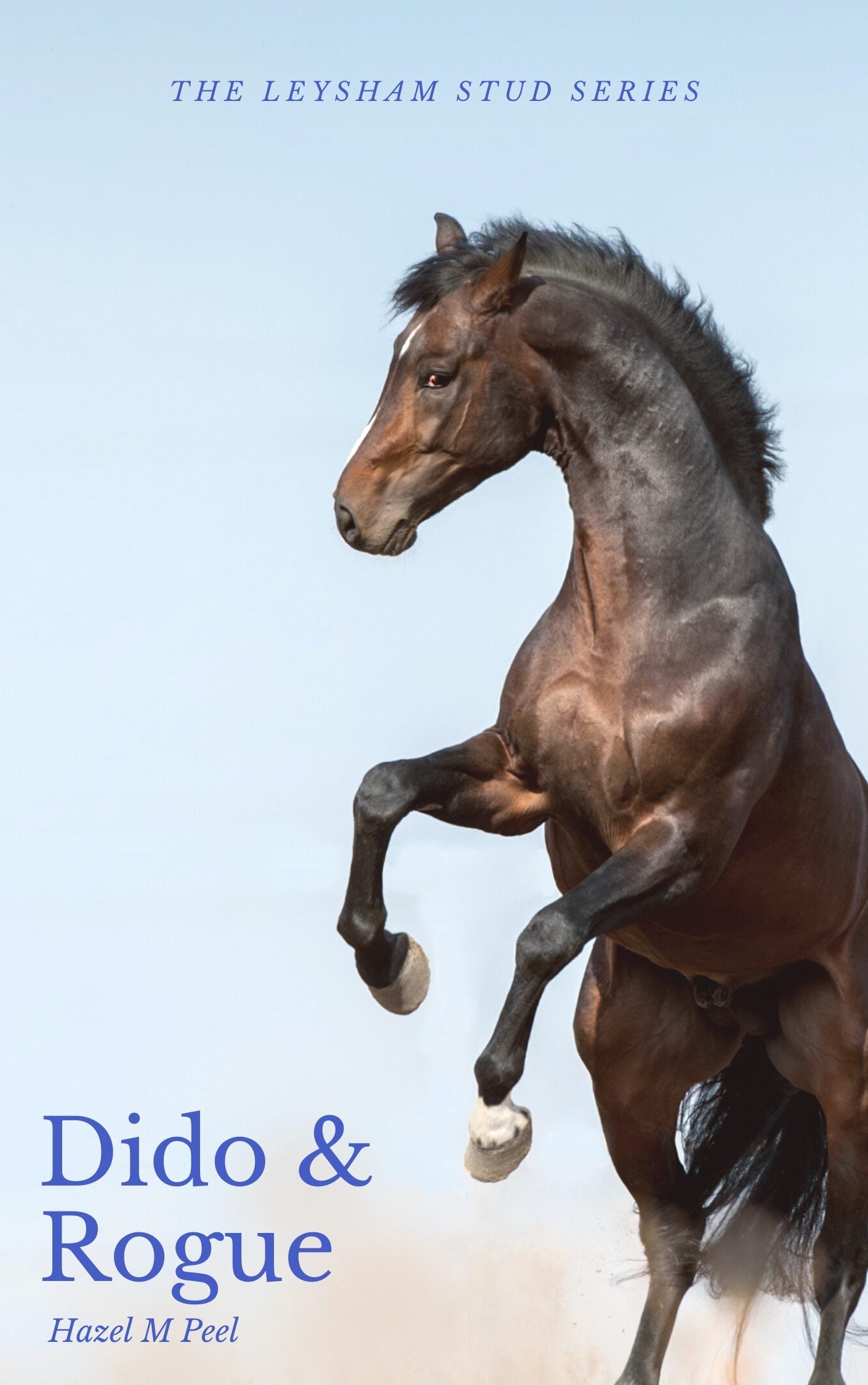 Hazel M Peel: Dido and Rogue (eBook)