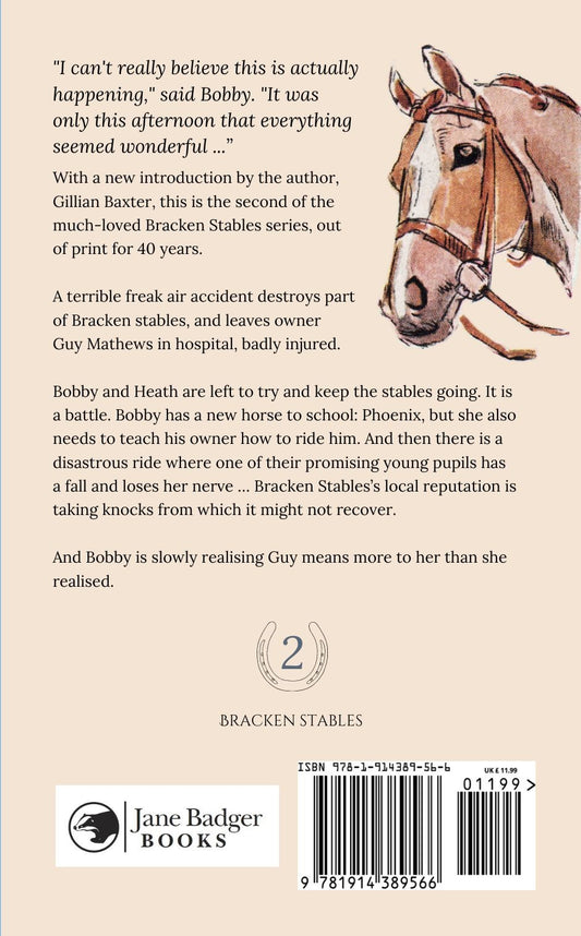 Gillian Baxter: The Difficult Summer (paperback)
