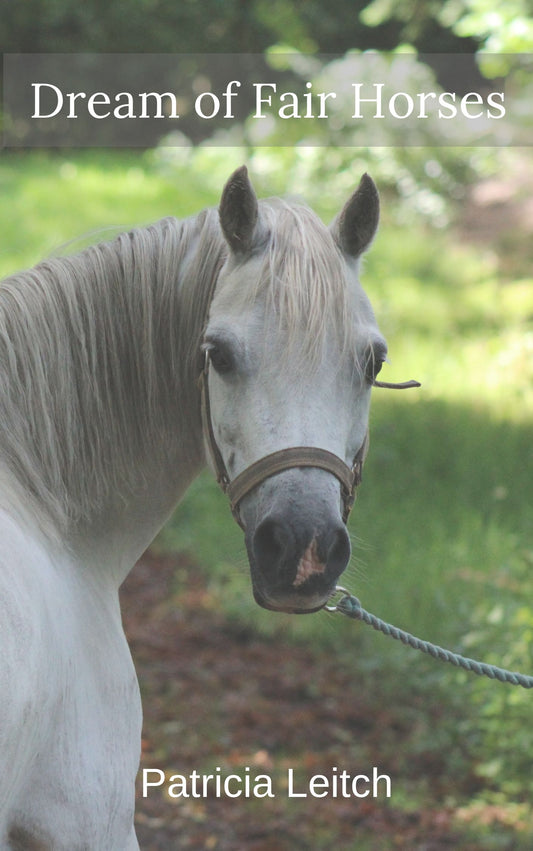 Patricia Leitch: Dream of Fair Horses (eBook)