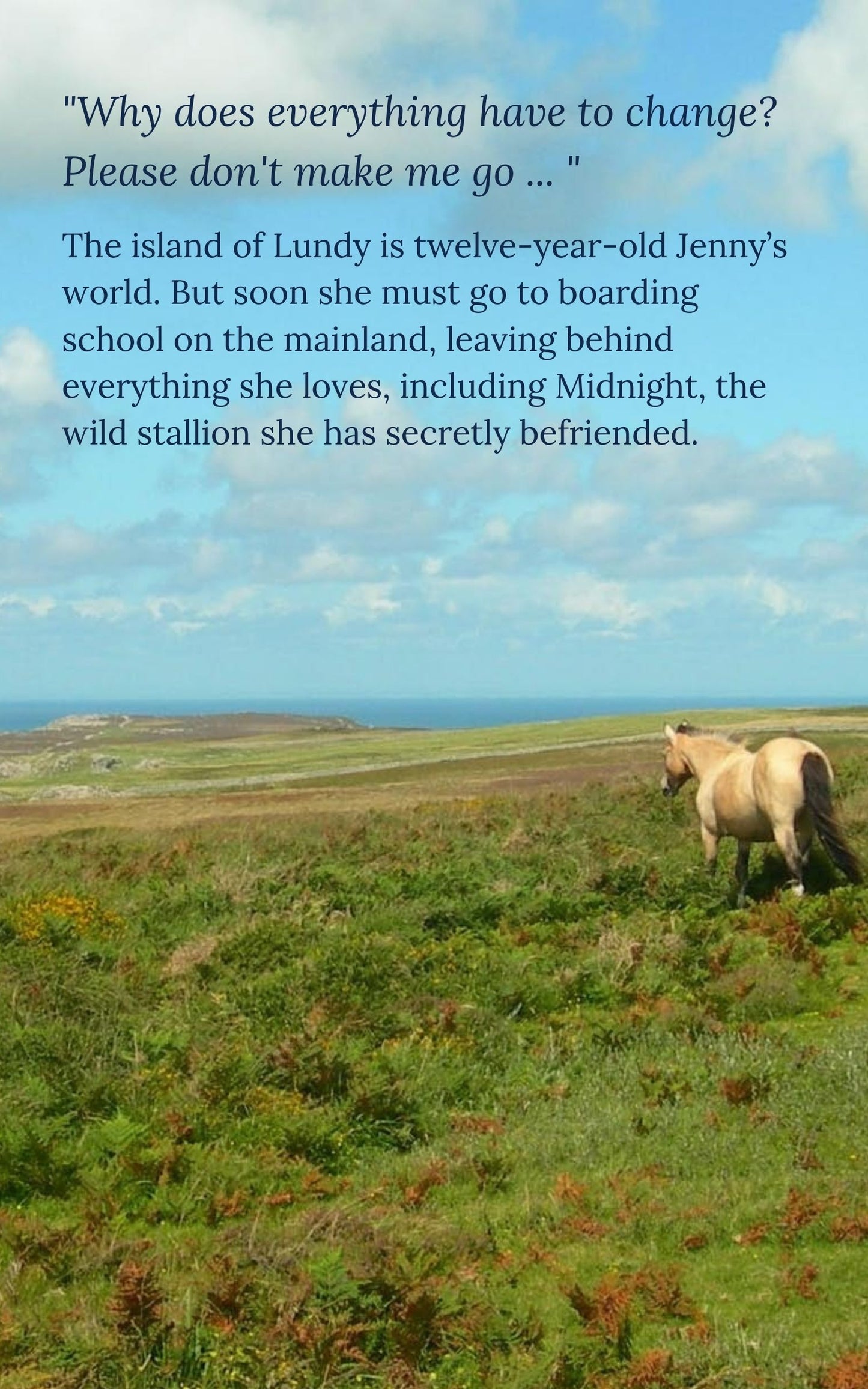 Victoria Eveleigh: Midnight on Lundy (eBook)