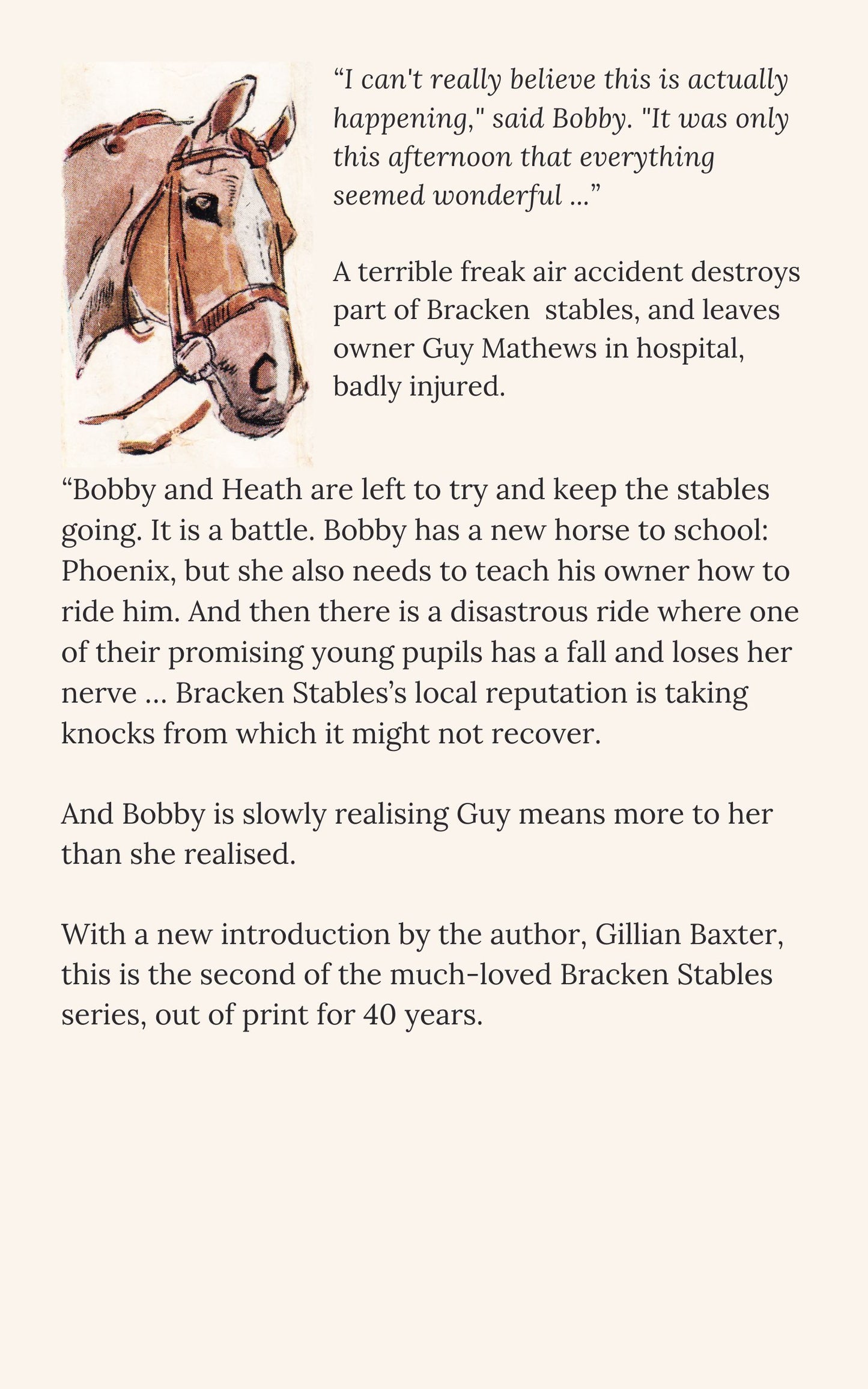 Gillian Baxter: The Difficult Summer (eBook - Bracken 2)