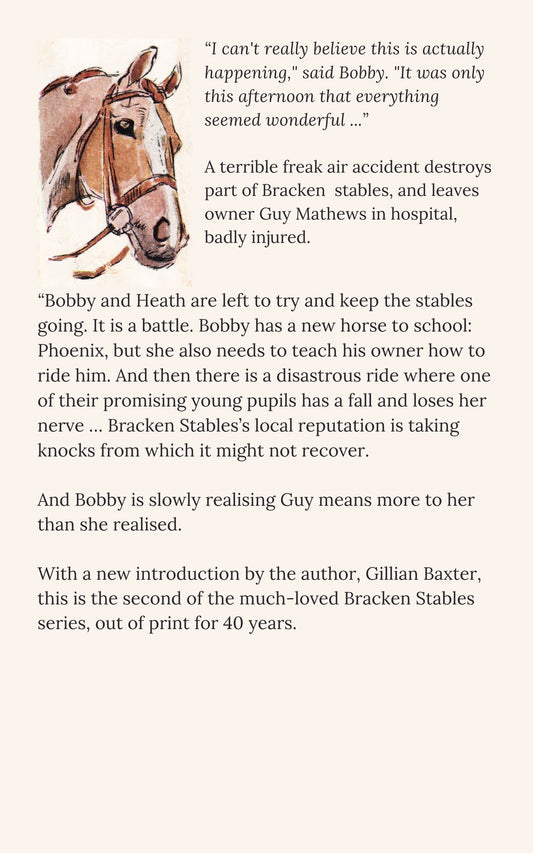 Gillian Baxter: The Difficult Summer (eBook - Bracken 2)