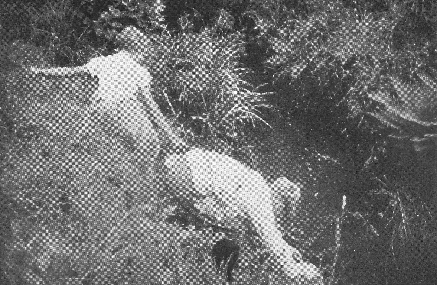 Marjorie Mary Oliver & Eva Ducat: Ponies and Caravans (paperback)