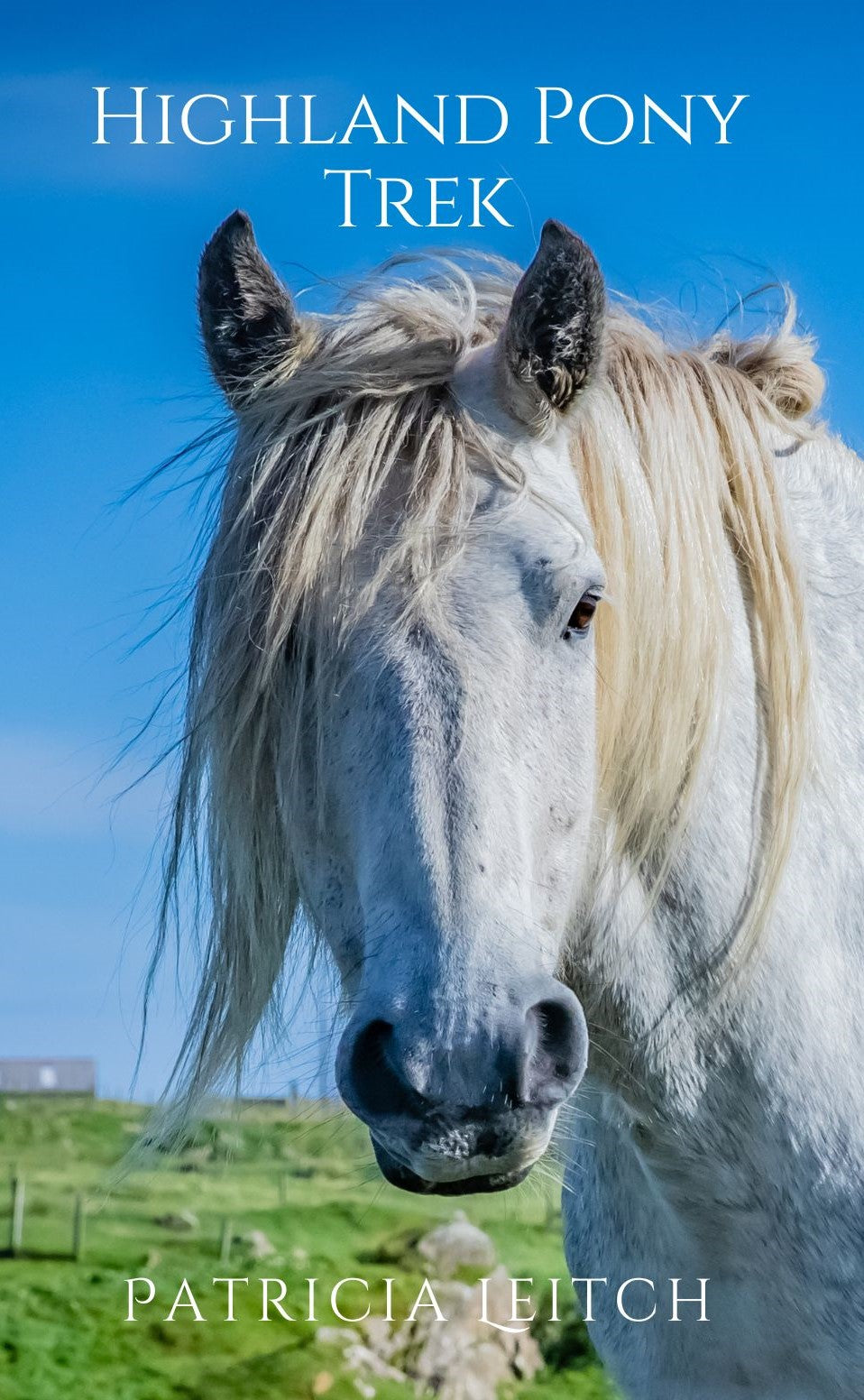 Patricia Leitch: Highland Pony Trek (paperback)