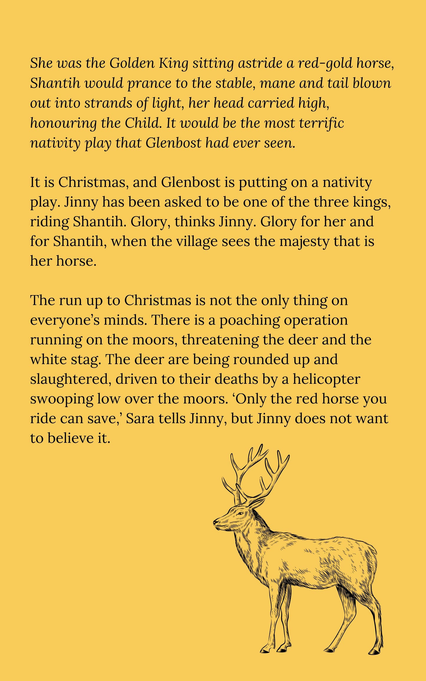 Patricia Leitch: Horse of Fire (eBook, Jinny 11)