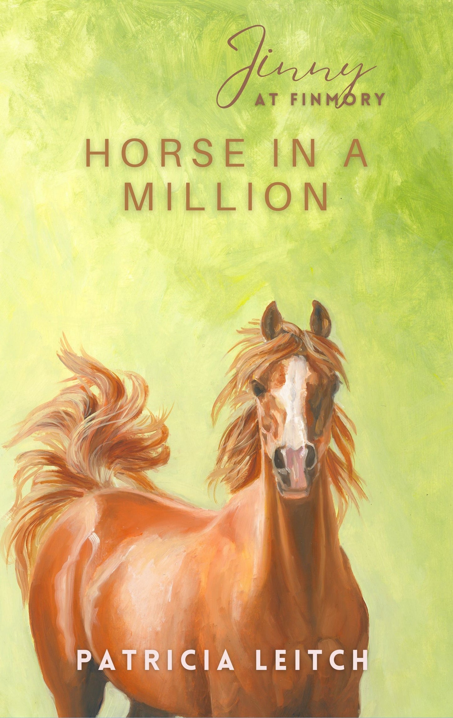 Patricia Leitch: Horse in a Million (paperback) Jinny 6