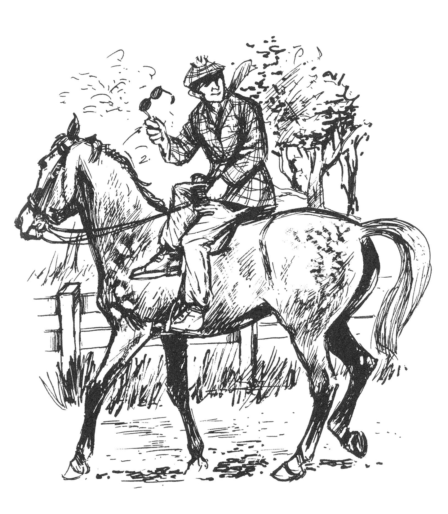 Caroline Akrill: I'd Rather Not Gallop (paperback, Showing 2)