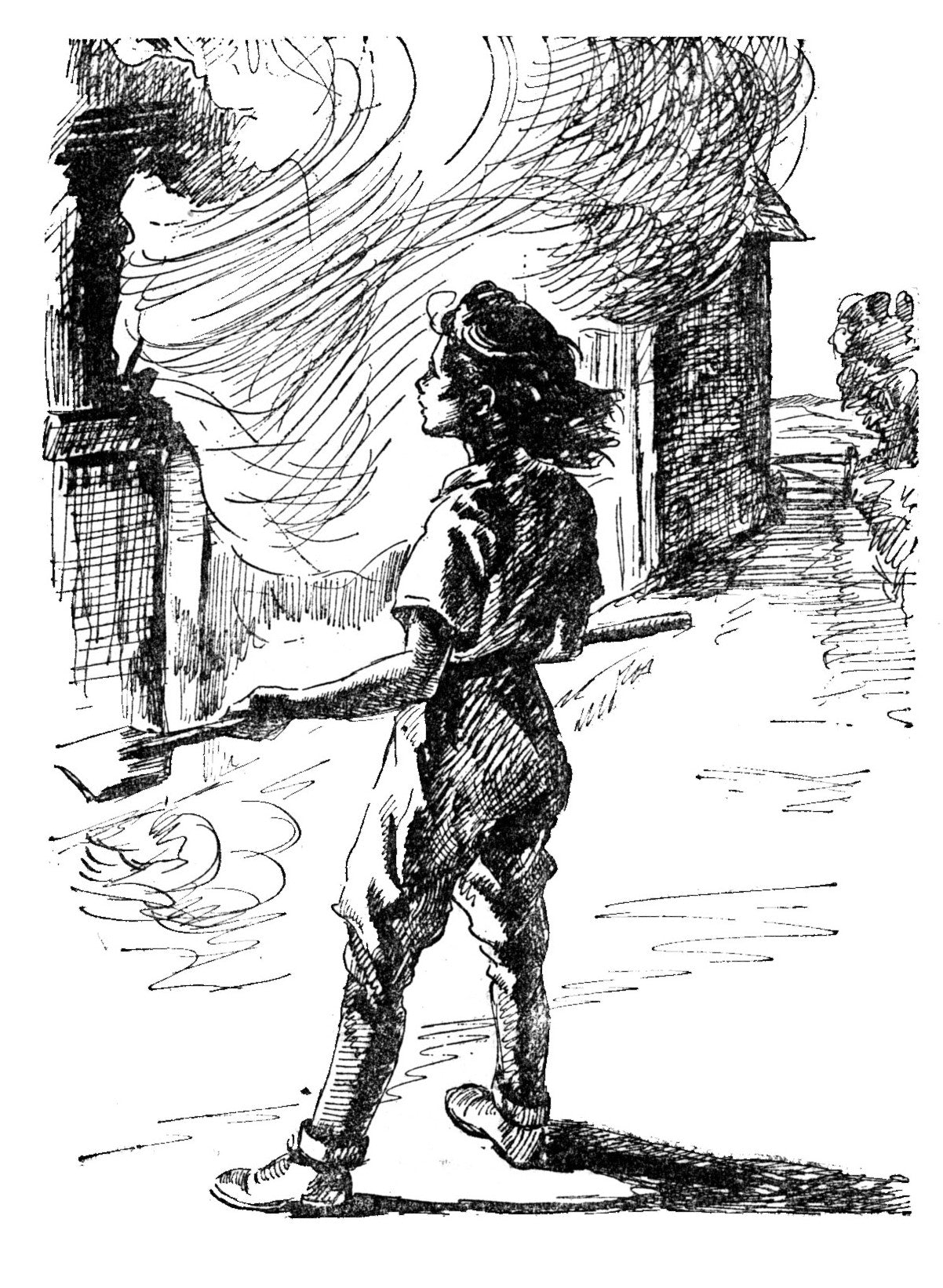 Diana Pullein-Thompson: I Wanted a Pony (paperback)