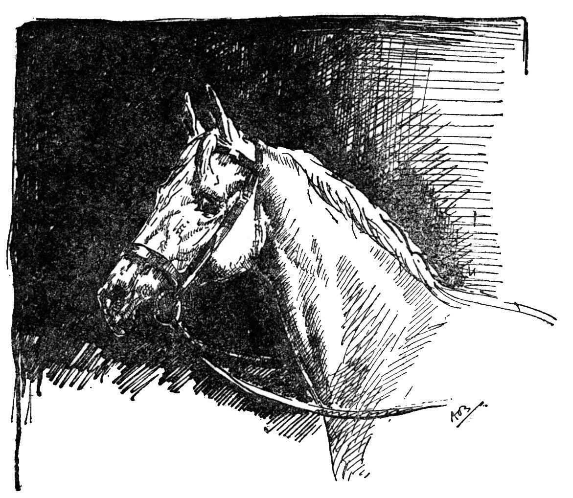 Diana Pullein-Thompson: I Wanted a Pony (paperback)