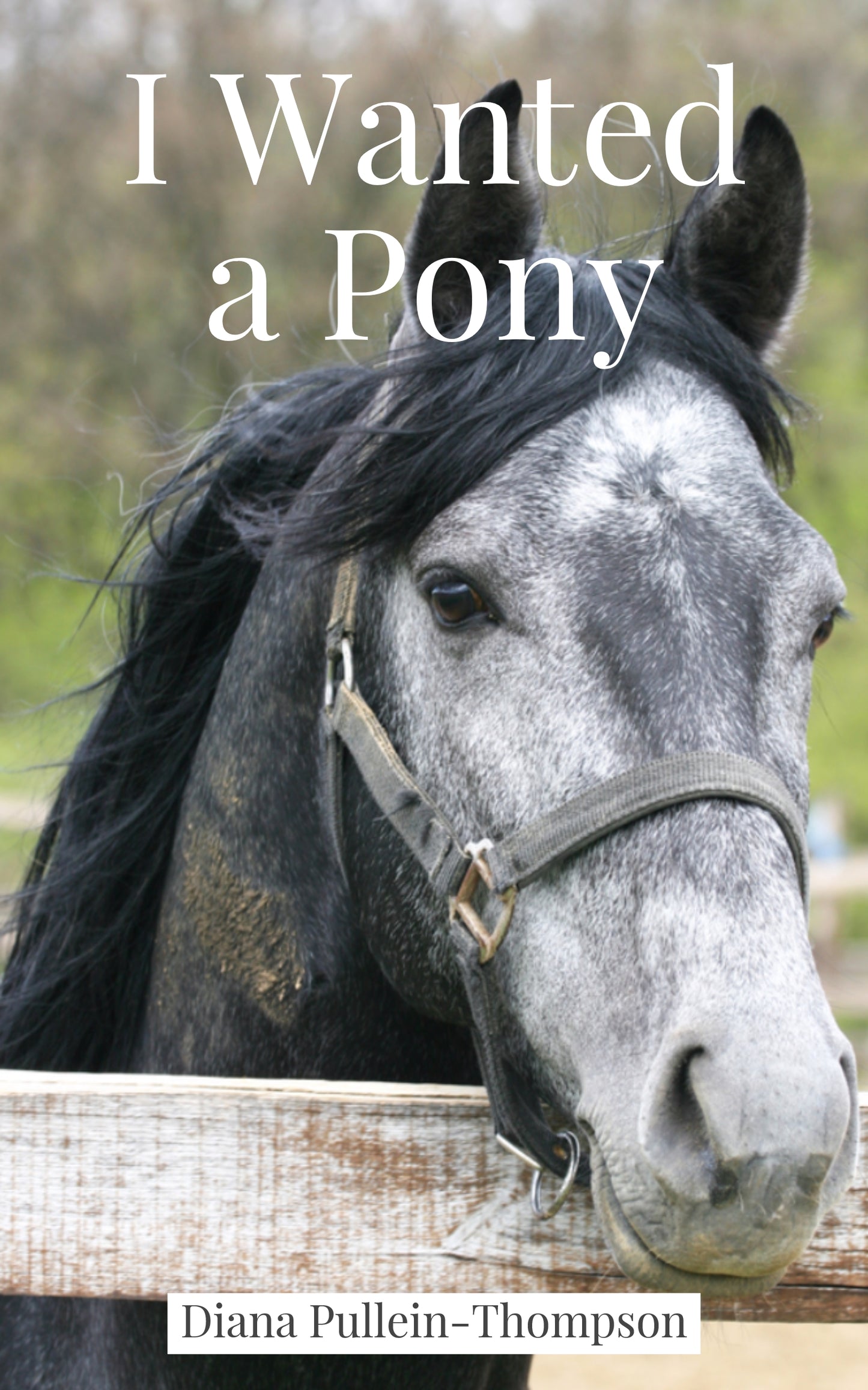 Diana Pullein-Thompson: I Wanted a Pony (eBook - Augusta & Christina 1)