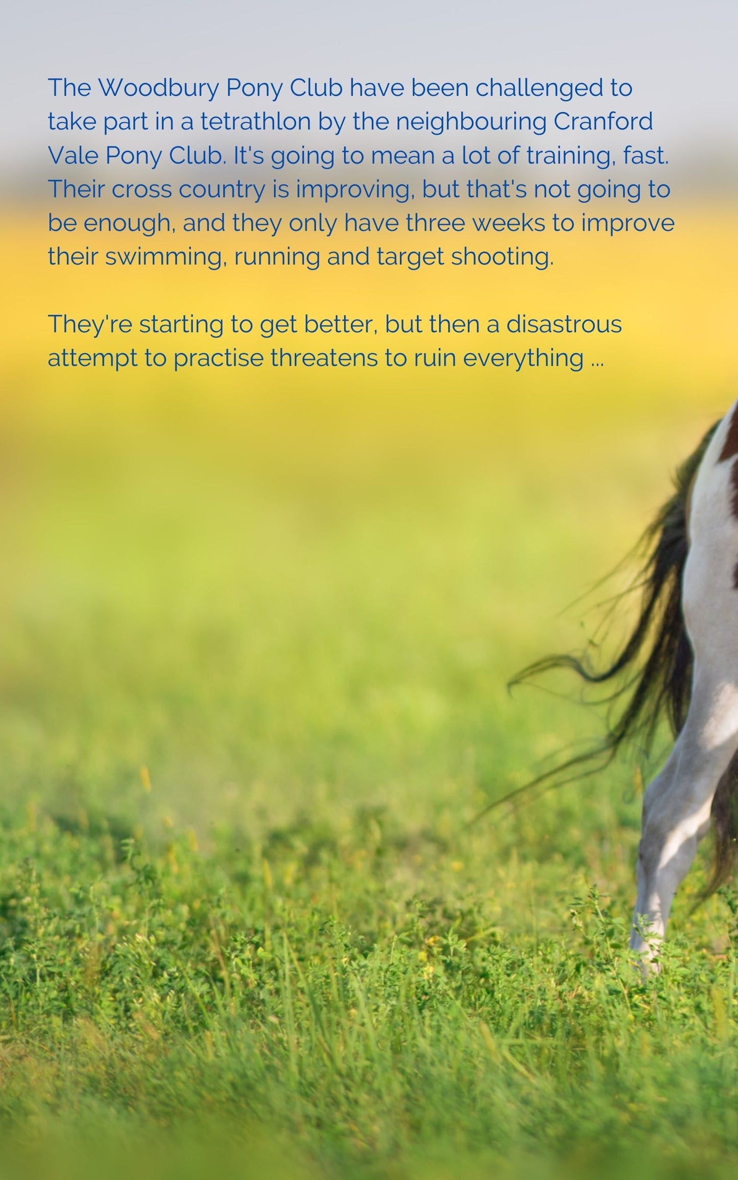 Josephine Pullein-Thompson: Pony Club Challenge (eBook - Woodbury 2)