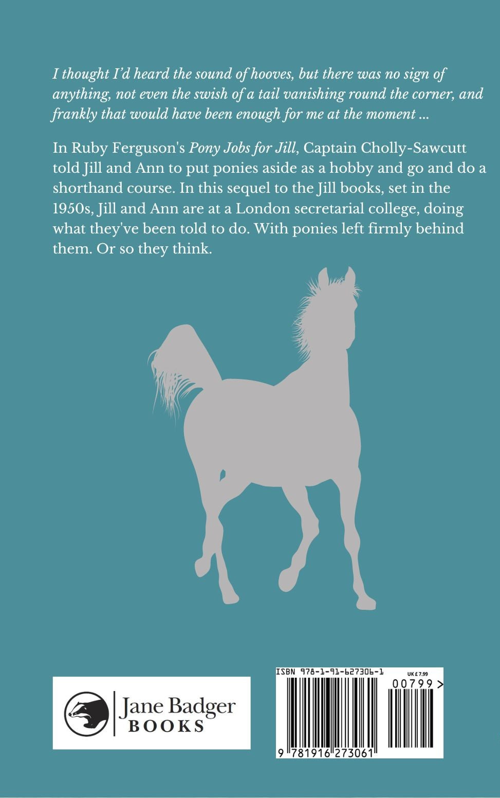 Jane Badger: Jill and the Lost Ponies (paperback)