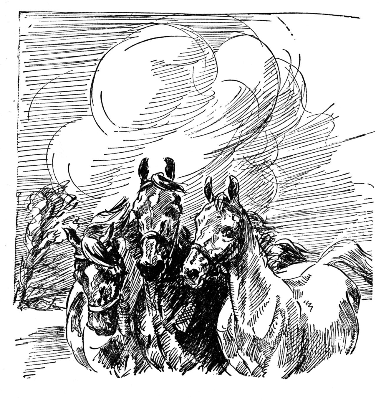 Joanna Cannan: More Ponies for Jean (paperback)