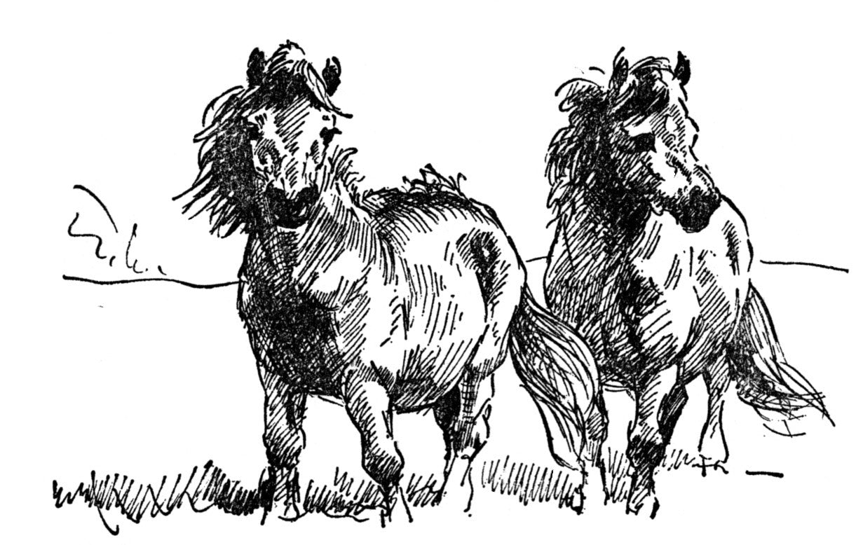 Joanna Cannan: More Ponies for Jean (paperback)