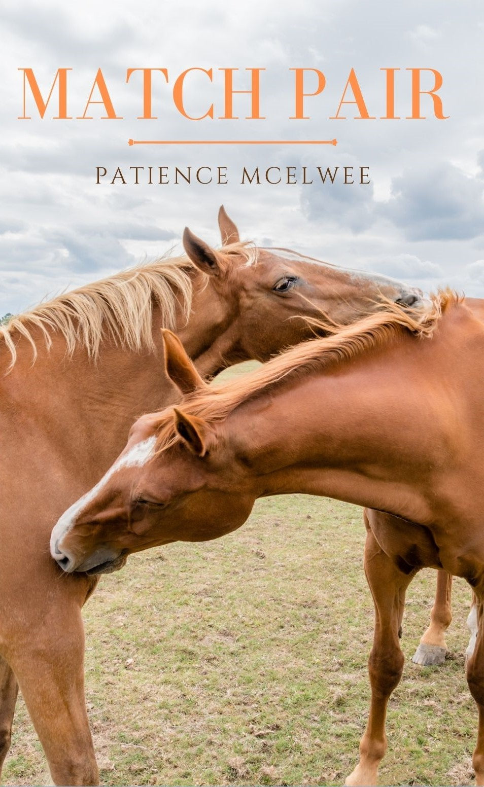 Patience McElwee: Match Pair (paperback)