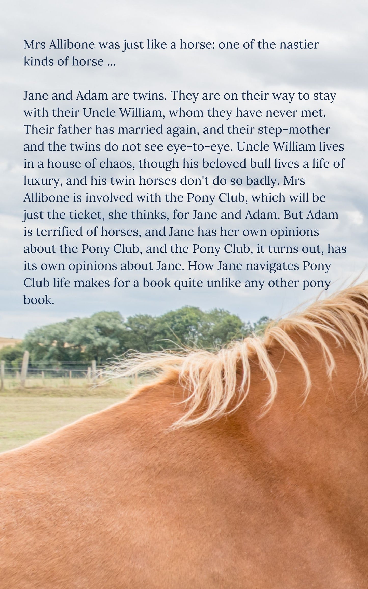 Patience McElwee: Match Pair (eBook)