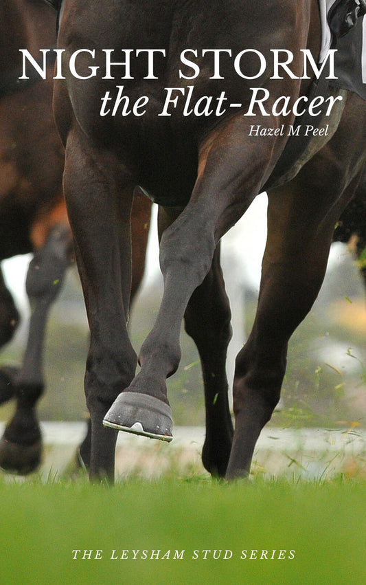 Hazel M Peel: Night Storm the Flat Racer (eBook)