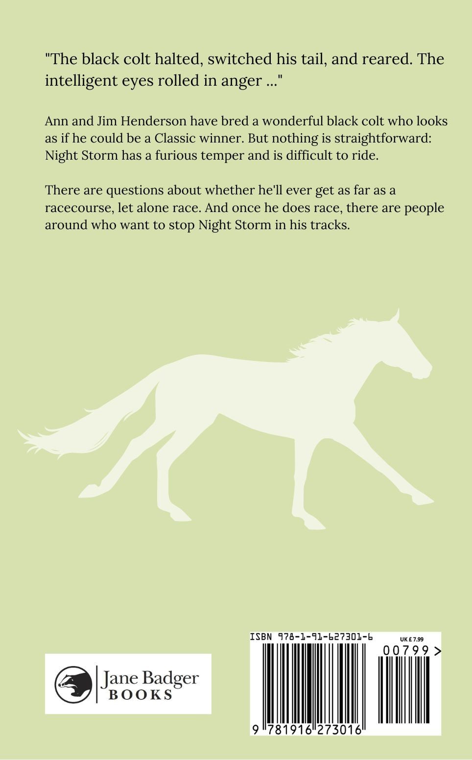 Hazel M Peel: Night Storm the Flat Racer (paperback)