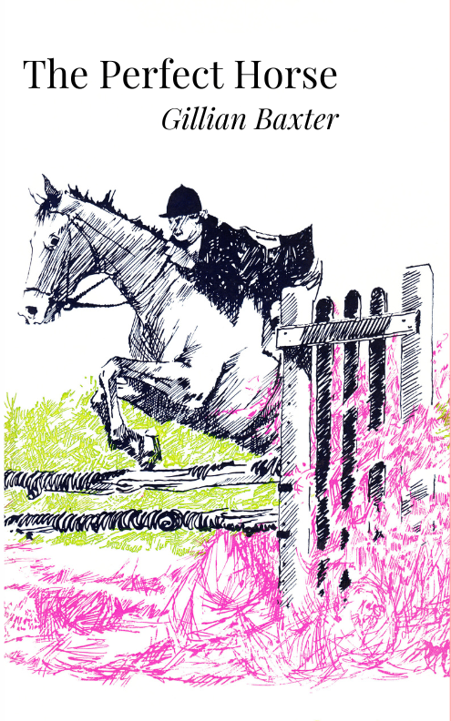 Gillian Baxter: The Perfect Horse (paperback)
