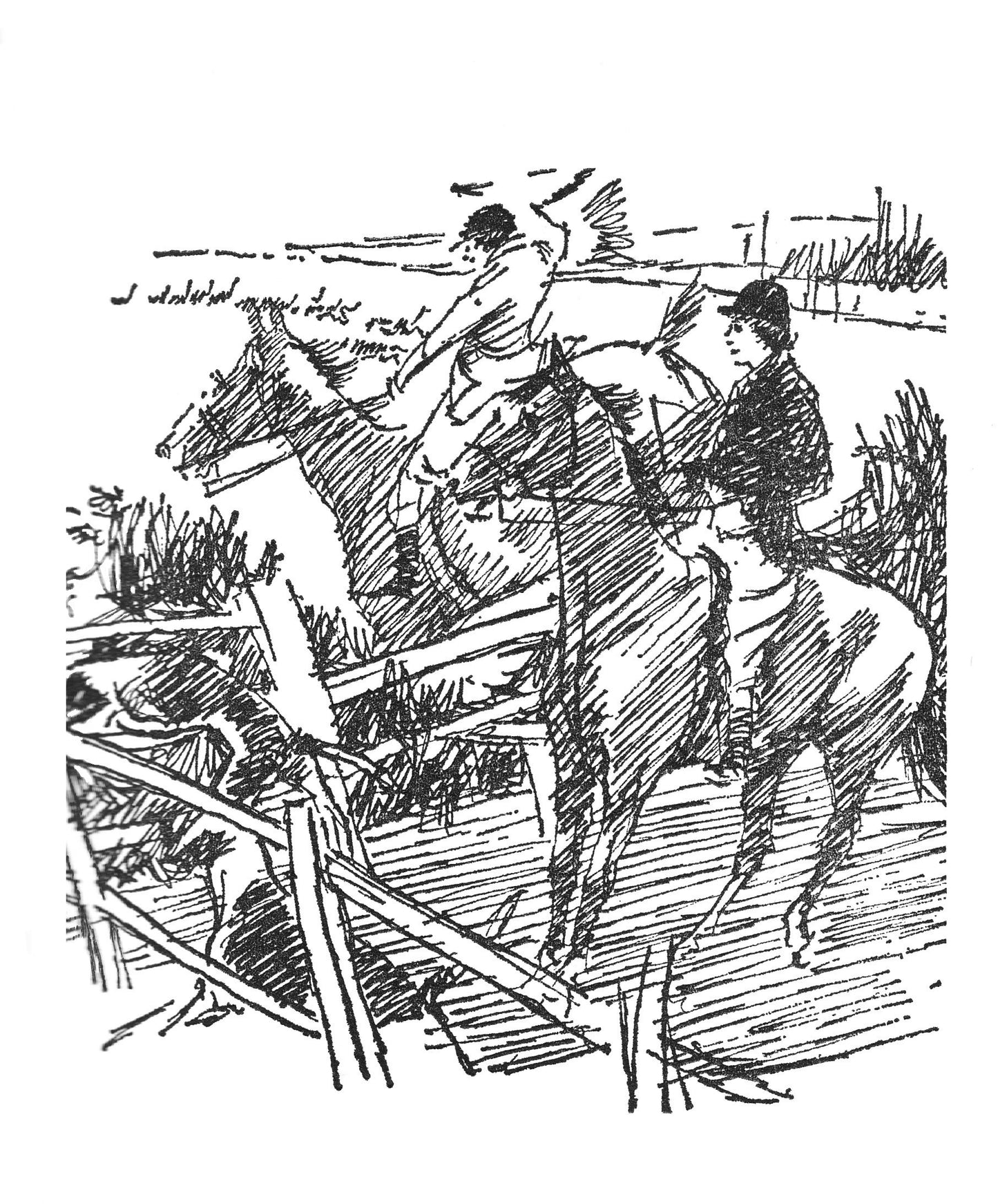 Gillian Baxter: The Perfect Horse (paperback)