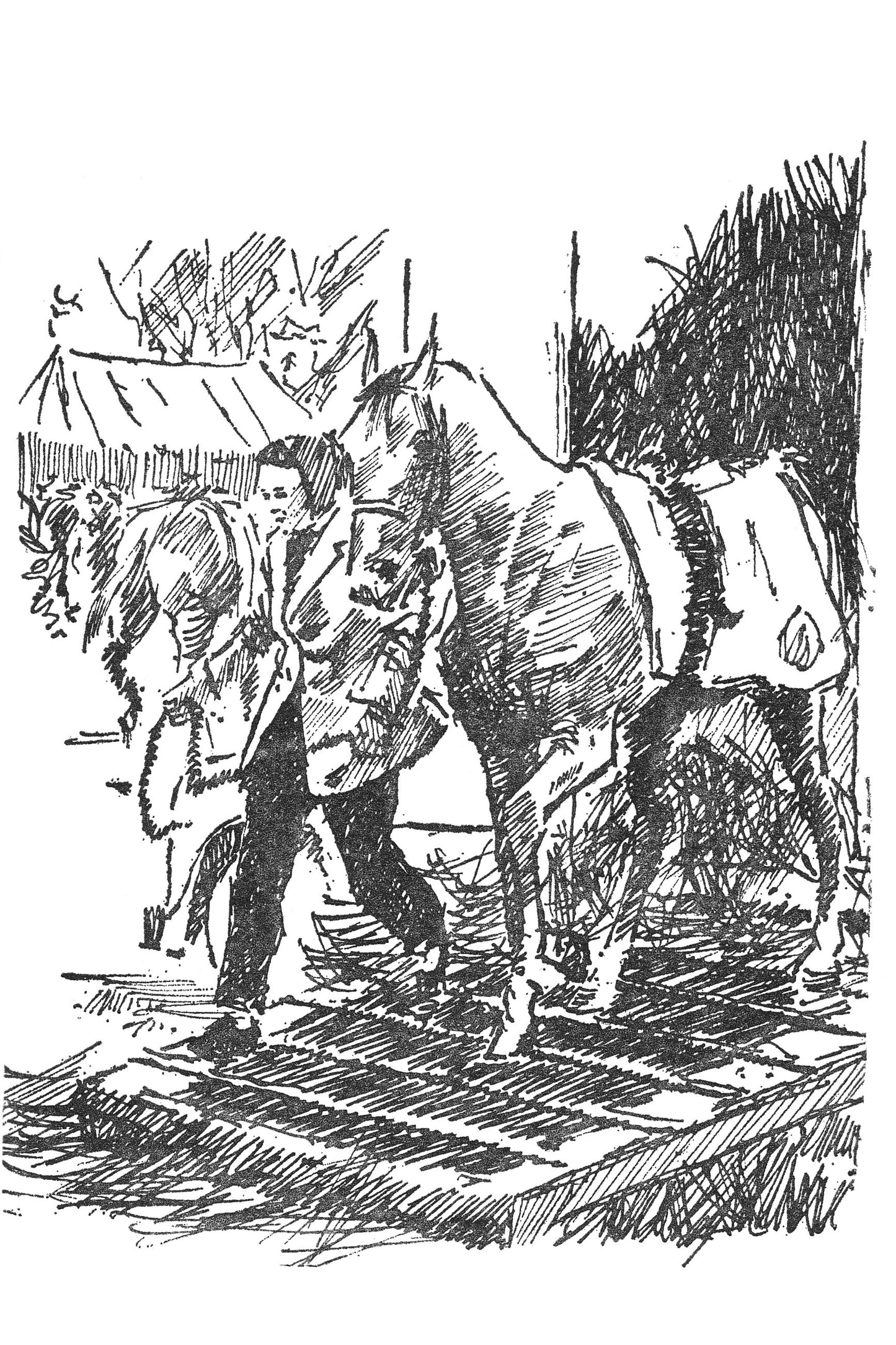 Gillian Baxter: The Perfect Horse (paperback)