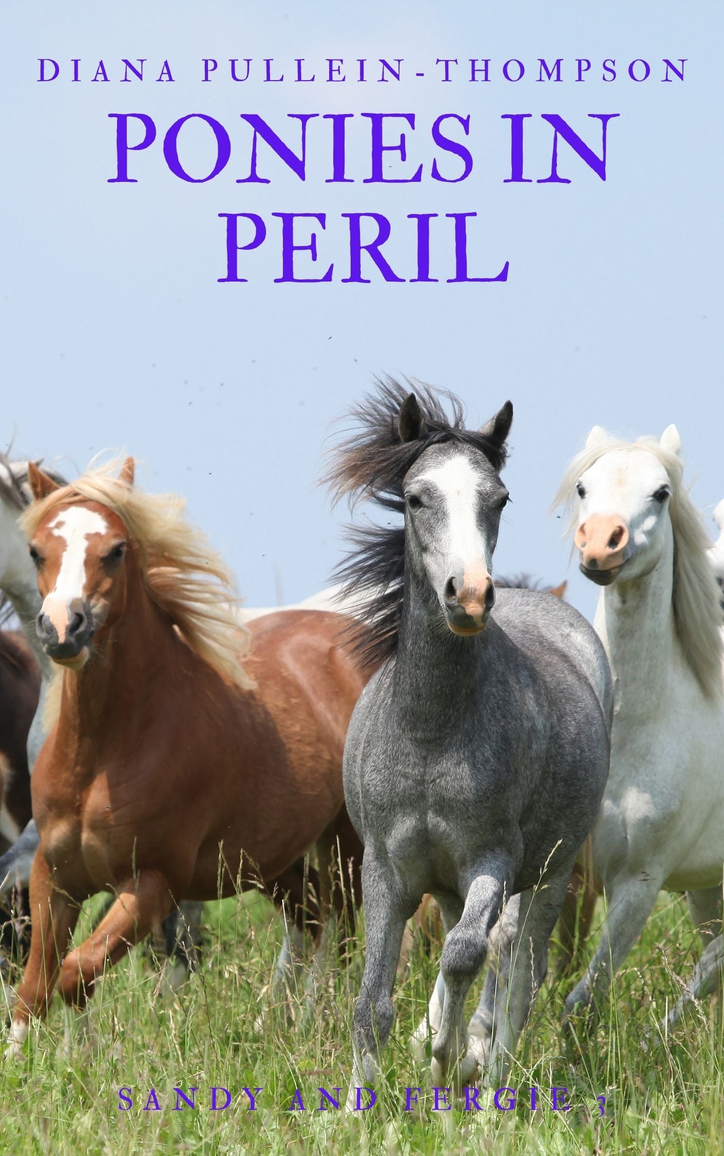 Diana Pullein-Thompson: Ponies in Peril (eBook- Sandy 3)
