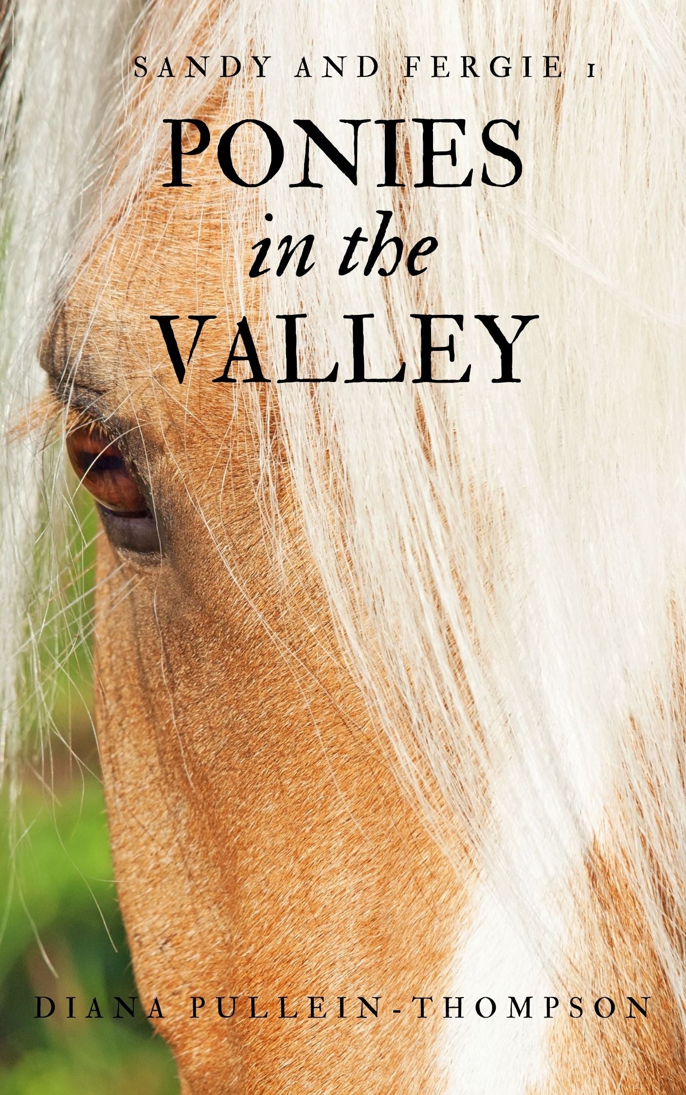Diana Pullein-Thompson: Ponies in the Valley (eBook - Sandy 1)