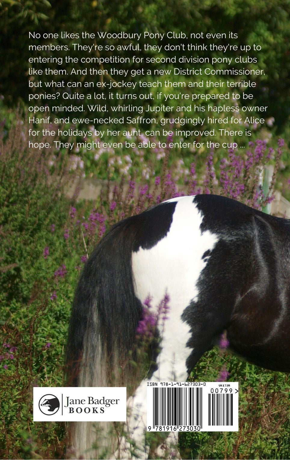 Josephine Pullein-Thompson: Pony Club Cup (paperback)