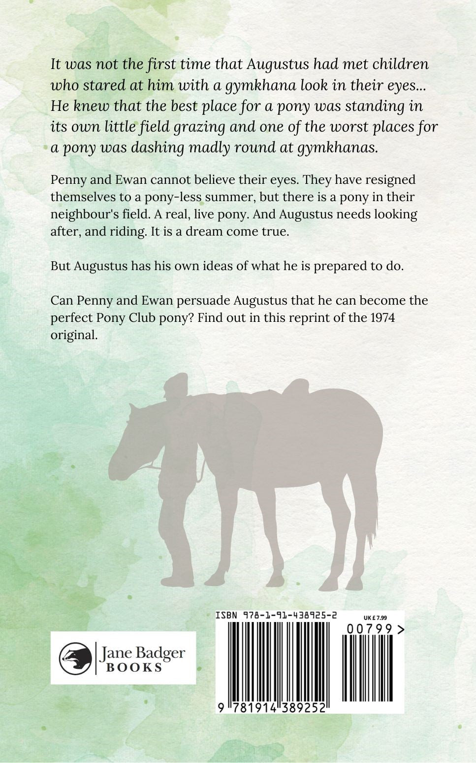 Patricia Leitch: Pony Surprise (paperback)