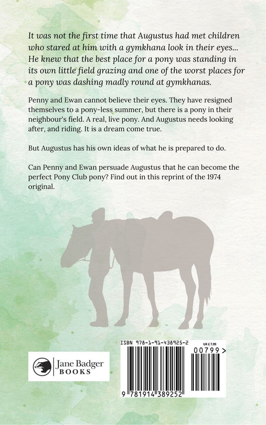 Patricia Leitch: Pony Surprise (paperback)