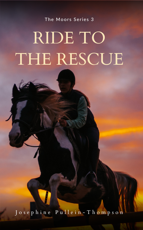 Josephine Pullein-Thompson: Ride to the Rescue (paperback)